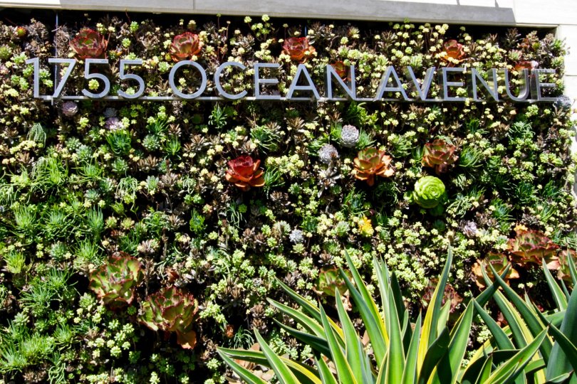 The address at The Seychelle in Santa Monica