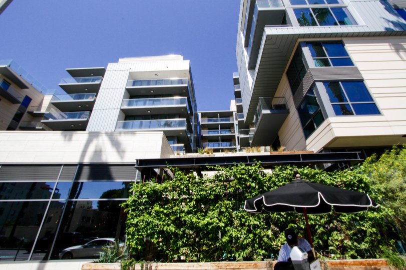 The landscaping seen throughout The Seychelle in Santa Monica