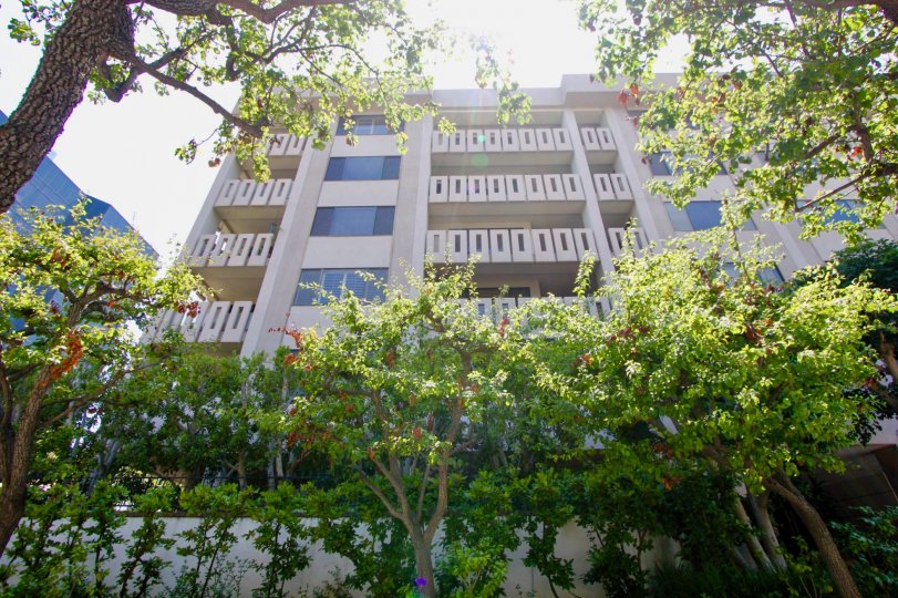 A sunny day in the Wilshire Ocean Terrace with a big apartment.