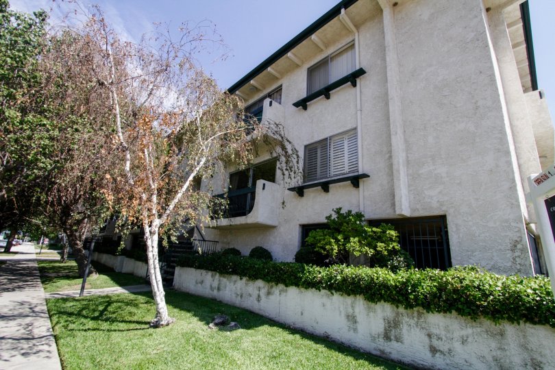 The landscaping around 14560 Clark St in Sherman Oaks