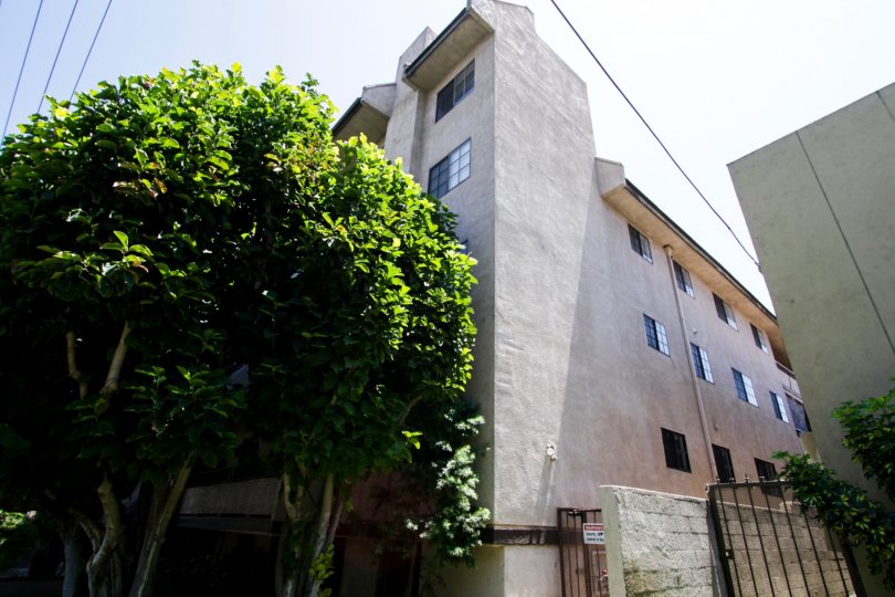 The building at 14600 Dickens St in Sherman Oaks