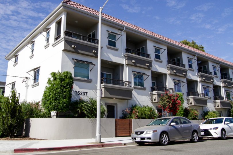The landscaping around 15237 Weddington St in Sherman Oaks