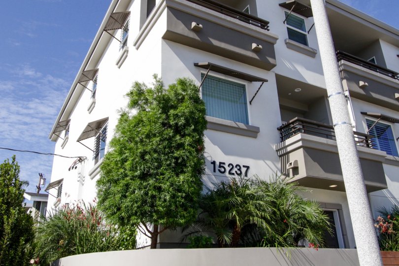 The address written on the building at 15237 Weddington St in Sherman Oaks