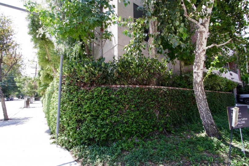 The landscaping at Castillion in Sherman Oaks