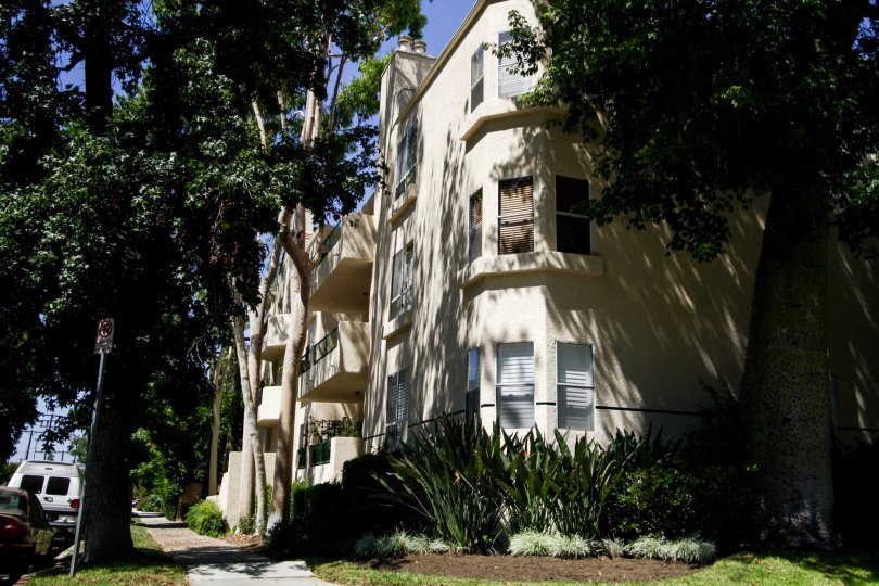 The windows in the Chandler Park Village