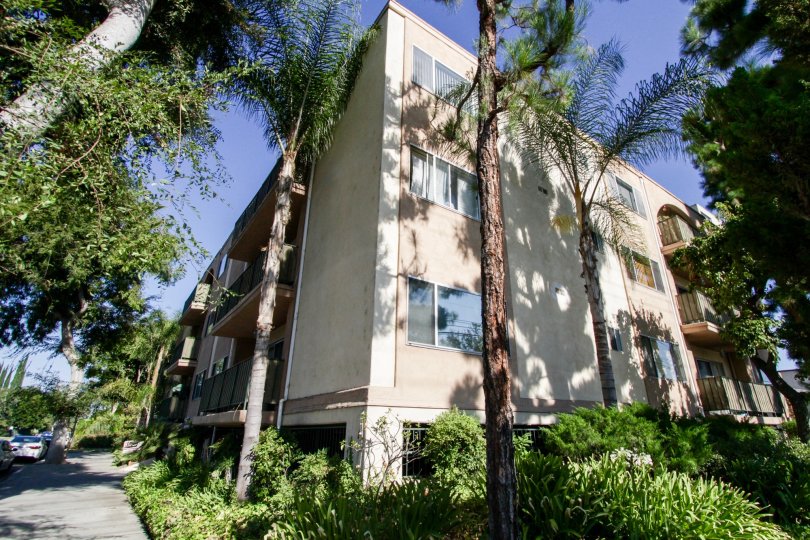 The landscaping at Consulate in Sherman Oaks
