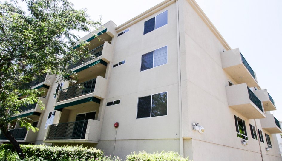 The windows of the County Club Condominiums in Sherman Oaks