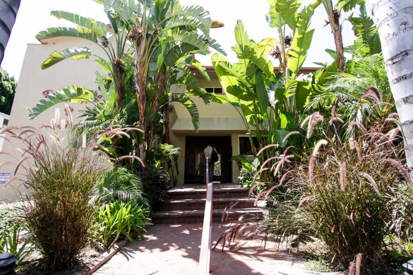 The entrance into Deauville Maison