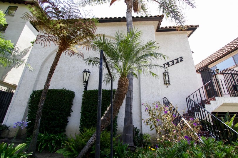 The landscaping around Dickens Street Townhomes in Sherman Oaks