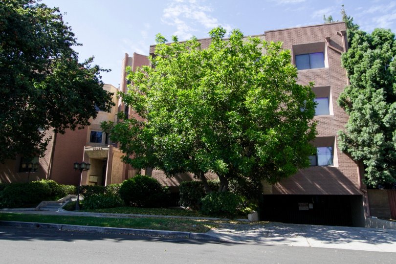 The view of Galleria Towers from the sidewalk in Sherman Oaks