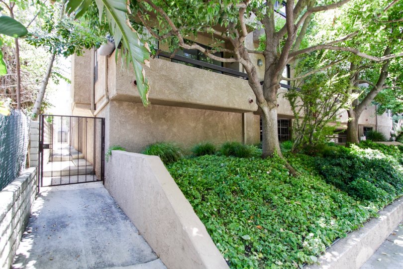 The landscaping at La Ventana in Sherman Oaks