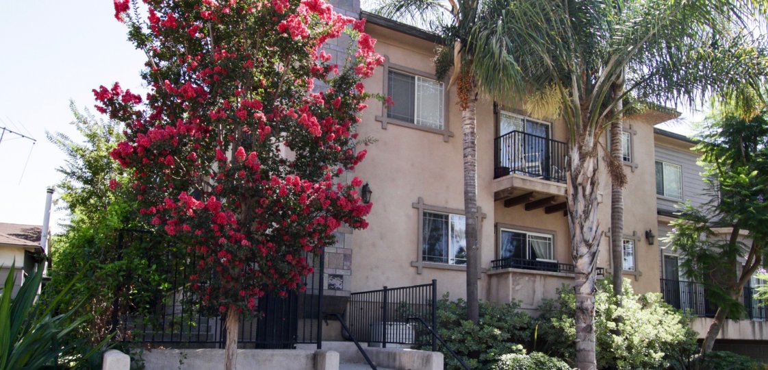 The landscaping seen around Margate Gardens in Sherman Oaks