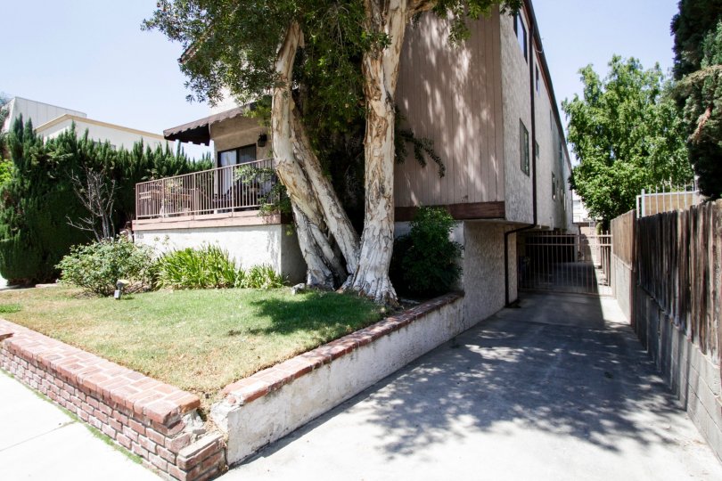 The driveway beside Parkside Condos in Sherman Oaks