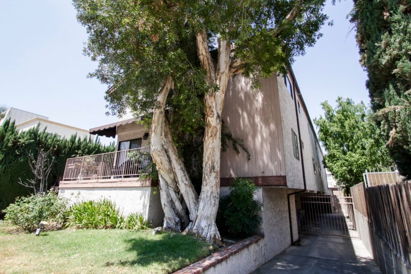 The landscaping around Parkside Condos in Sherman Oaks