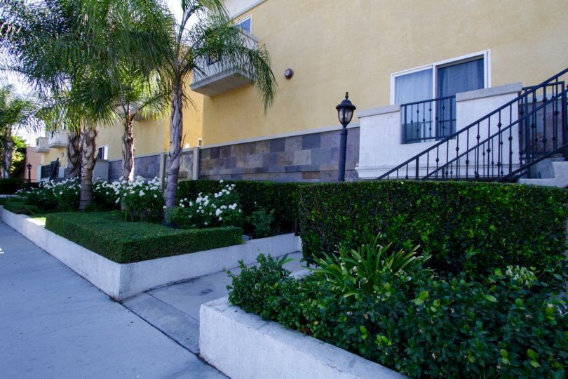 The landscaping around Placita De Oro in Sherman Oaks