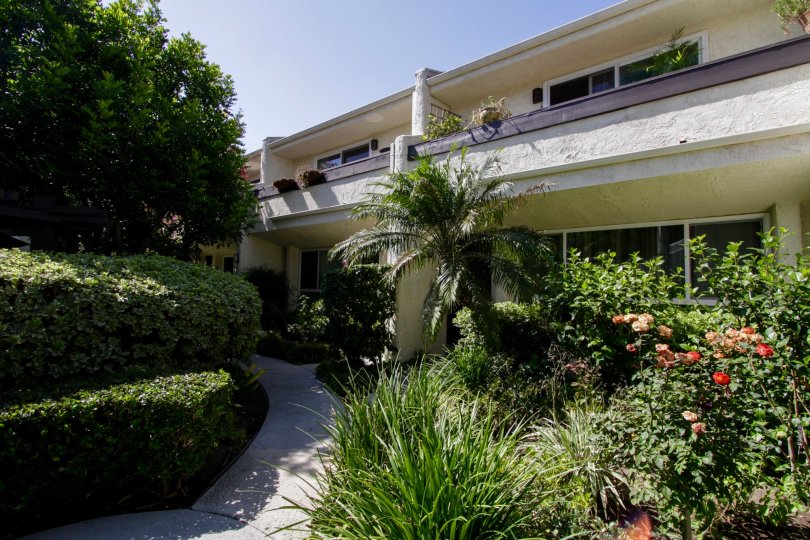 The landscaping around Sherman Oaks Courtyard