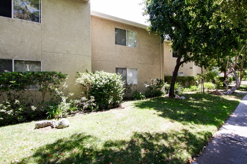 The yard at the Town & Country Townhomes