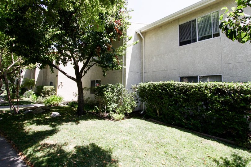 The landscaping around Town & Country Townhomes