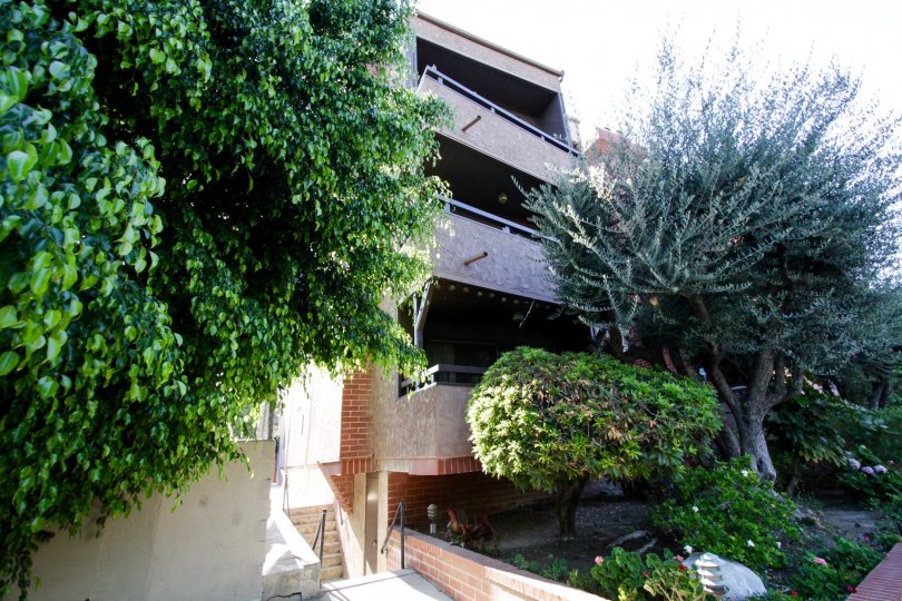 The landscaping seen around Willis Manor in Sherman Oaks