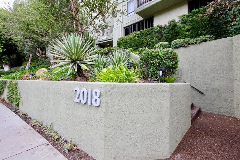 The Cedar Lodge address in front of the building