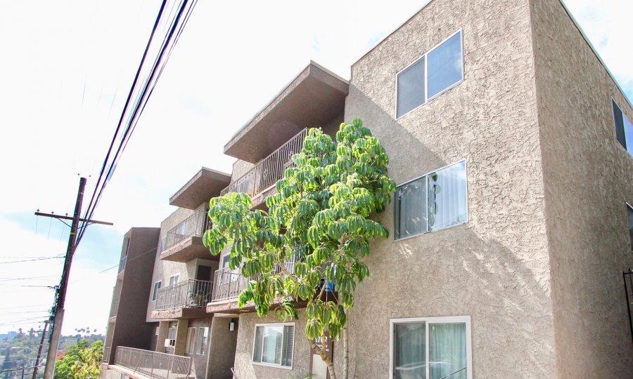 The windows in Silver View Terrace