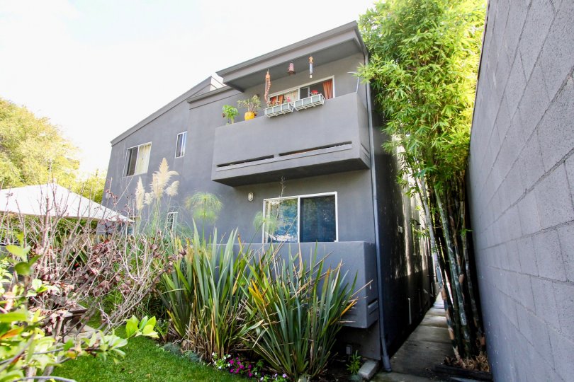 The yard in front of Six Off Rowena