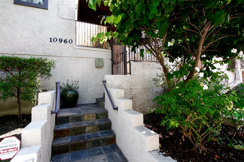 The stairs up to 10960 Bluffside Dr