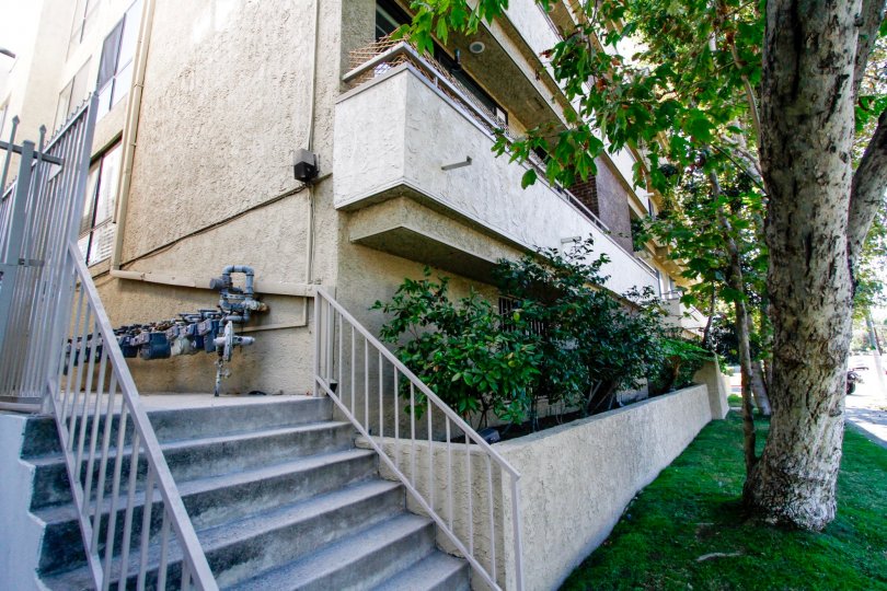 The greenery planted alongside the building at 12152 Moorpark St in Studio City