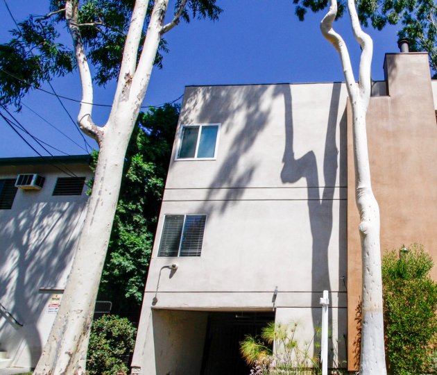 The windows seen at 4220 Fair Ave in Studio City