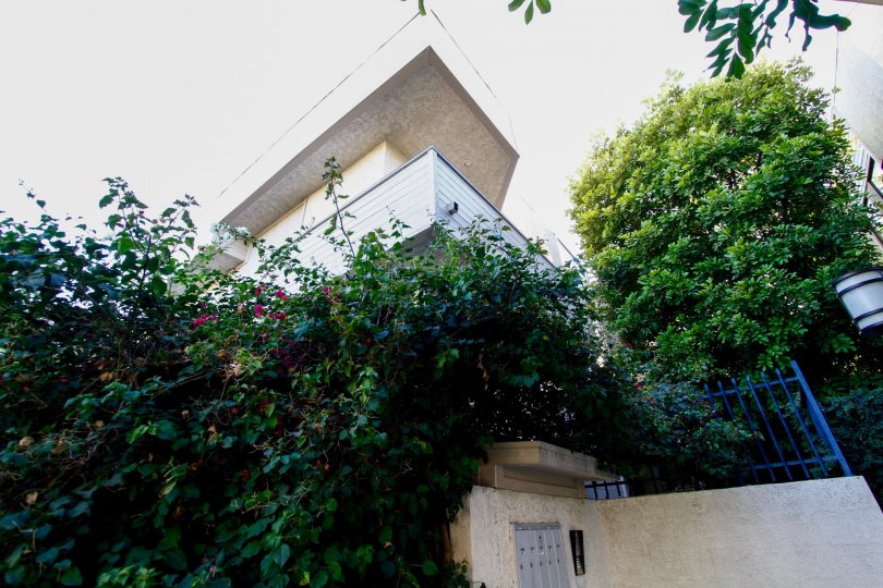 The achitecture at 4515 Coldwater Canyon Ave in Studio City