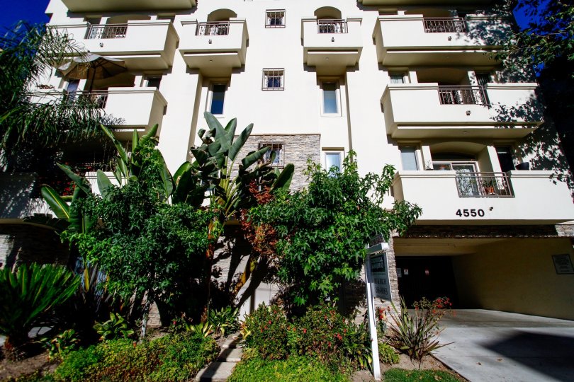 The building at 4550 Coldwater Canyon in Studio City
