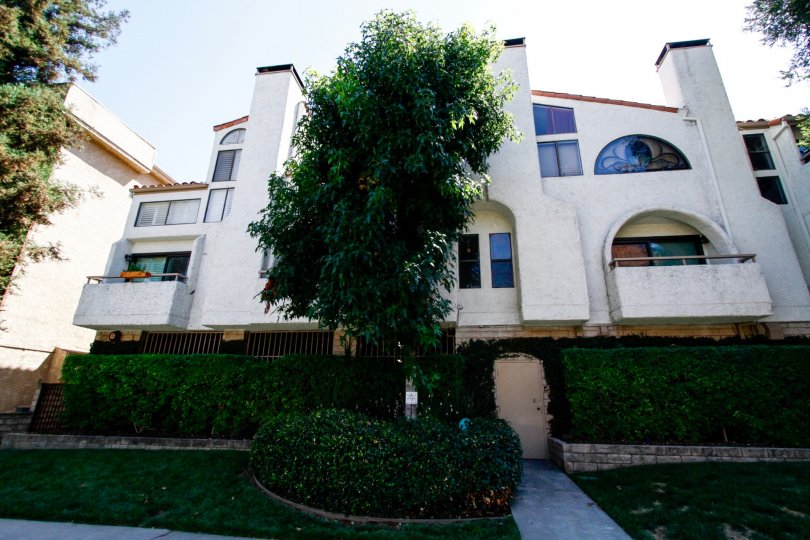 The landscaping around Bluffisde Court in Studio City