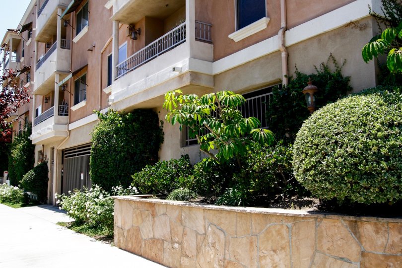 The landscaping around Camellia Park