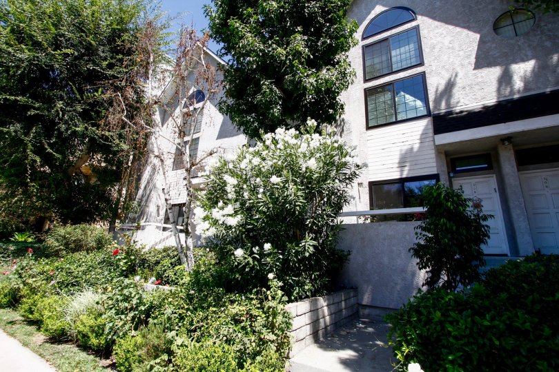 The landscaping around Colfax Gardens in Studio City