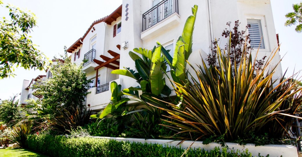 The landscaping at the Colfax Villas