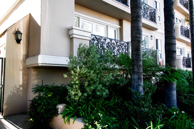 The landscaping around the Regent Mary Ellen
