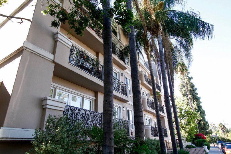 The iron fences on the balconies at Regent Mary Ellen