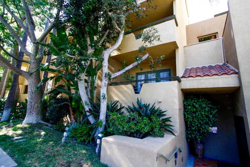 The landscaping around Toscana Court