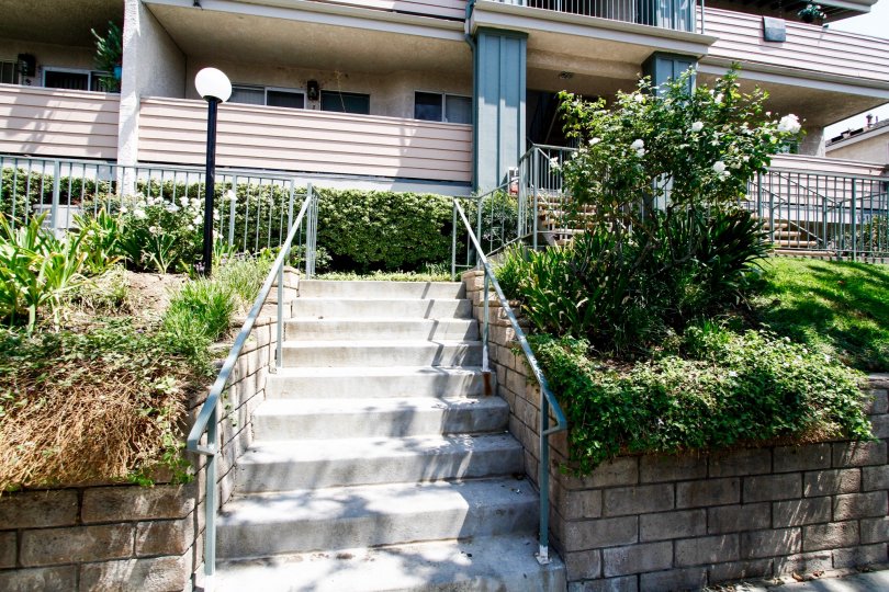 The landscaping seen around Kingsbury Park in Sylmar California