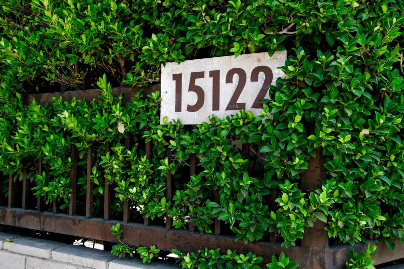 The address for Mountain View on Roxford in Sylmar California