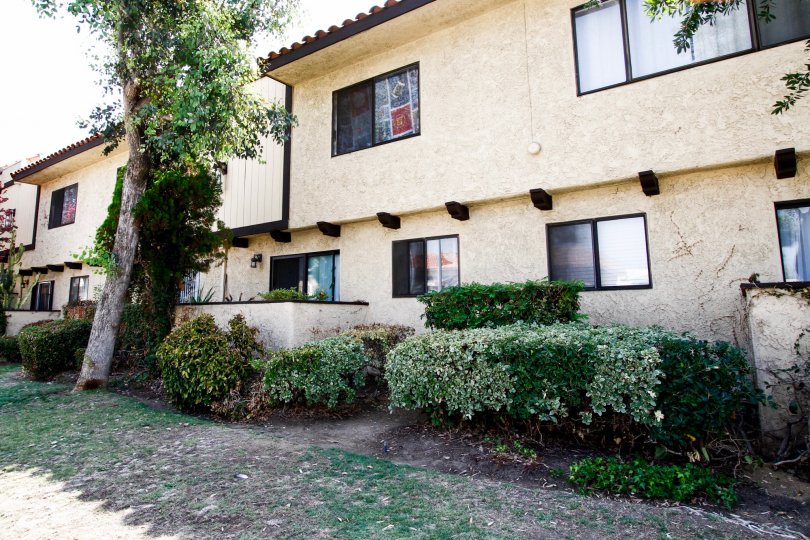 A building in the Olive Mountain View complex in Sylmar California