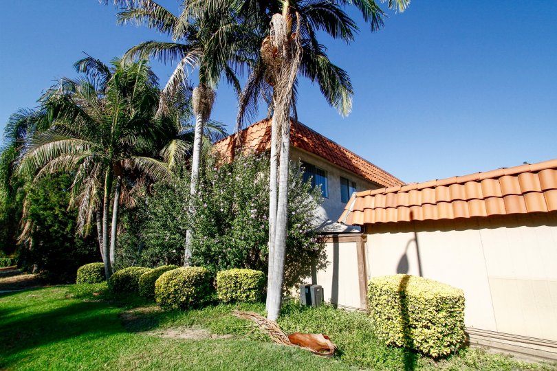 The yard around 5740 Etiwanda Ave