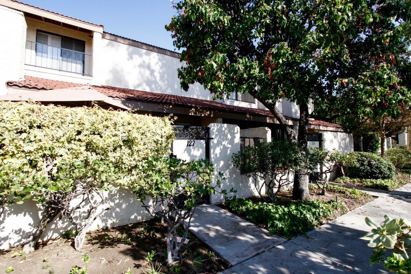 The sidewalk up to Encino Village in CA California