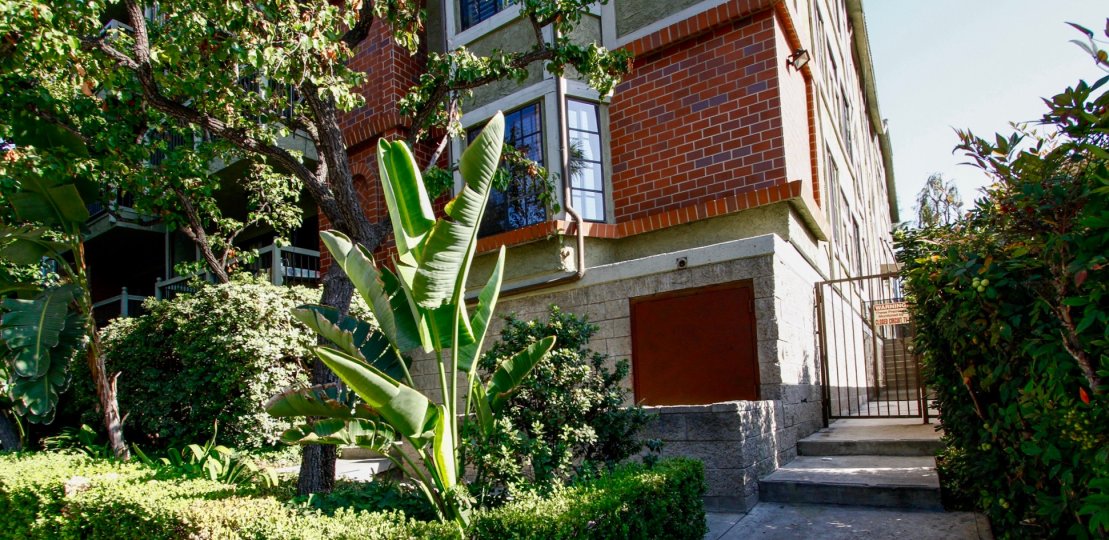 The privacy provided by hedges around the Regent Court