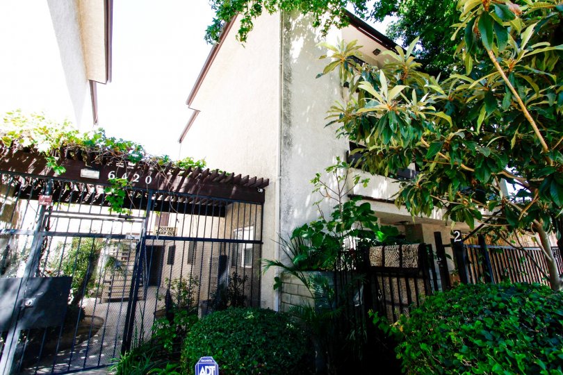 The building at 6420 Hazeltine Ave in Van Nuys