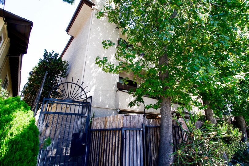 The landscaping at 6420 Hazeltine Ave in Van Nuys