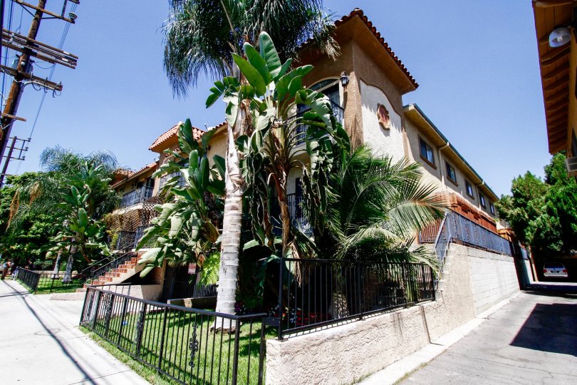 The landscaping around Vanowen Villas in Van Nuys