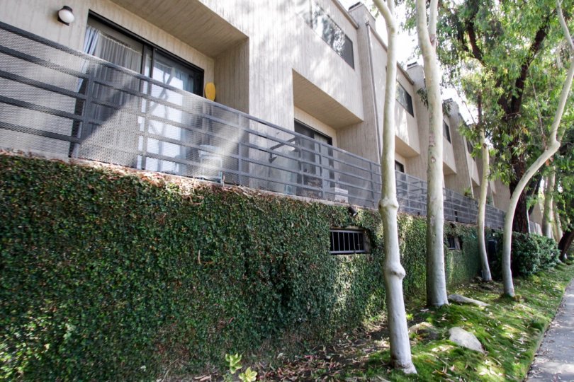 The balconies at 2500 Abbot Kinney in Venice