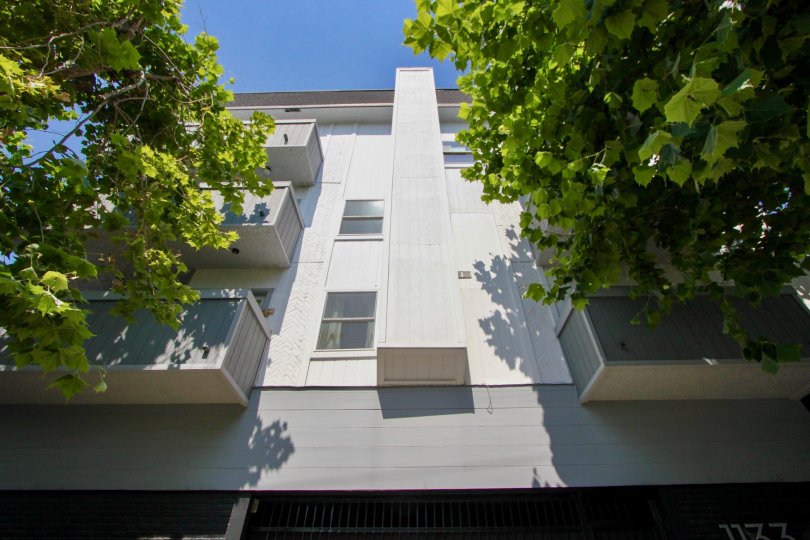 1133 Clark and her nice walls and trees, West Hollywood, California