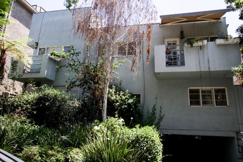 The building at 914 Kings
